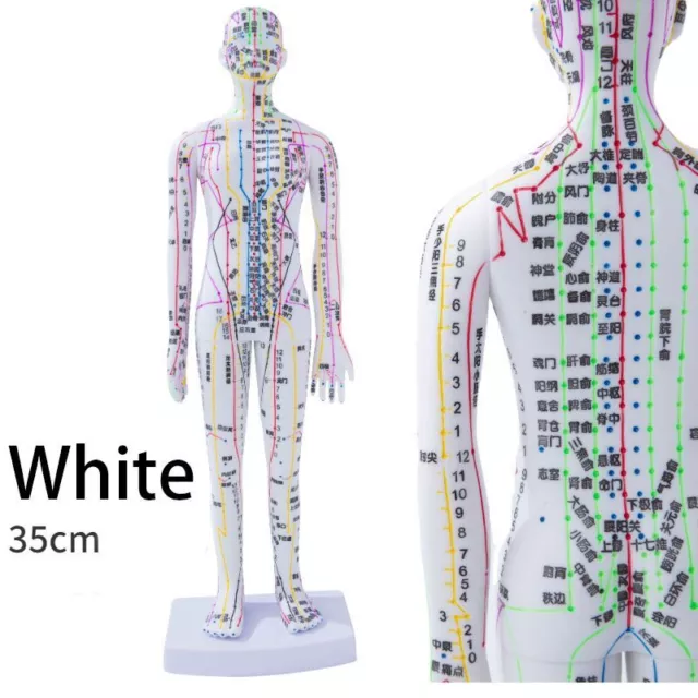 Human Body Acupuncture Model Female Male Meridians Book Chinese Medicine 35cm