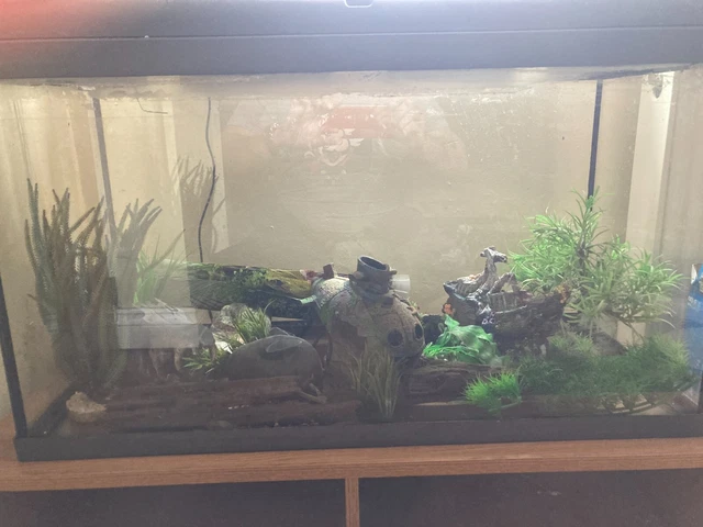 110l Interpet fish tank aquarium and accessorys 3