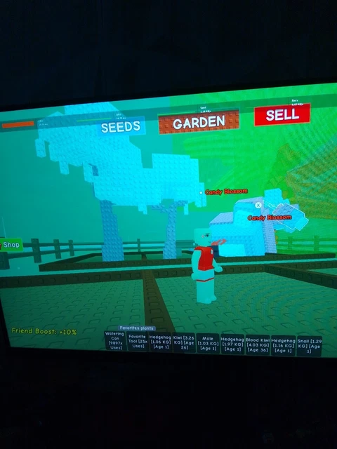 7T Huge Candy Blossom Per Grow A Garden Roblox – Consegna Rapida Online