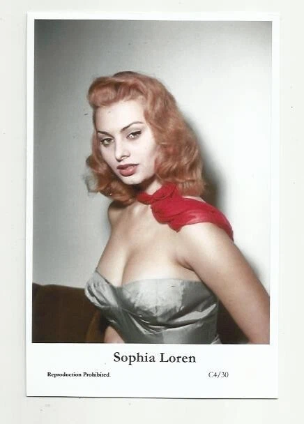 (Bx24) Sophia Loren Photo Postcard (C4/30) Filmstar Pin Up Movie Glamor Girl