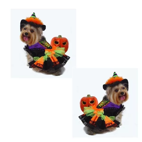 Di Qualità Cane Costume - Strega Halloween - Cani come Colorato Witches