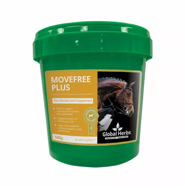 Global Herbs Movefree Plus 500 GM