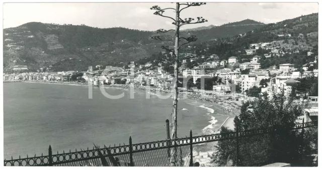 1950 ca ALASSIO (SV) Veduta panoramica generale *Fotografia 25x13 cm