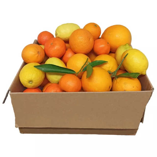 Box Mix Kg. 5 di Agrumi: di cui CLEMENTINE, ARANCE e LIMONI  di CALABRIA BIO✅