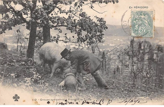 Agriculture - n°77663 - En Périgord - Groupe sympathique trouvant la Truffe -