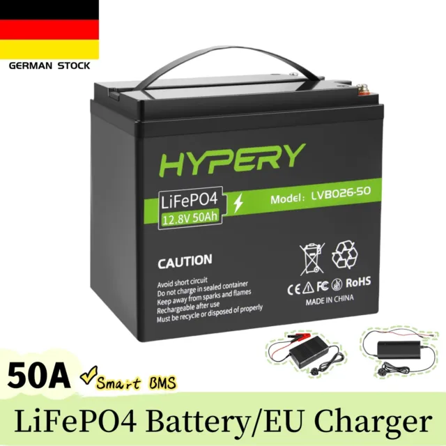 12V 50Ah LiFePO4 Akku Solarbatterie Oder EU 14.6V Lithium Ladegeräte RV Off-grid