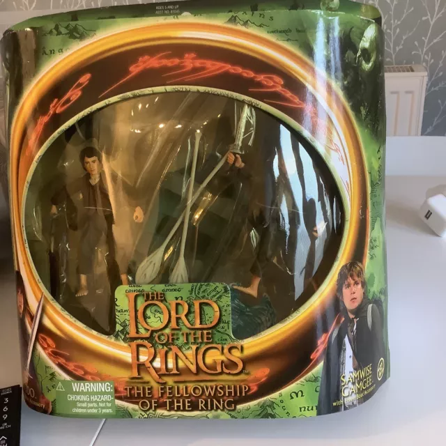 Frodo And Samwise Gamgee: The Lord Of The Rings: Fellowship Of The Ring (Boxed)