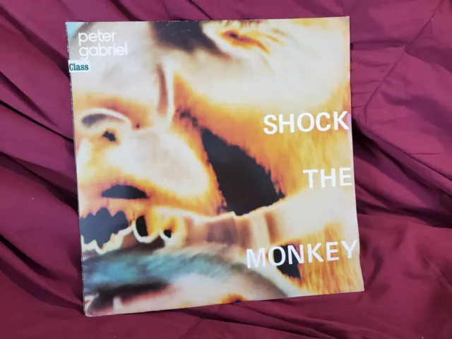 Peter Gabriel, Rare, Shock The Monkey/Soft Dog, Charisma 1982, 12" Single, VG/NM