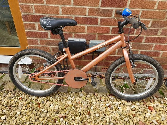 APOLLO GLITZ KIDS Bike 18