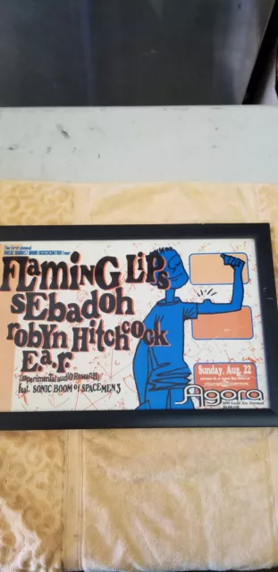 flaming lips poster