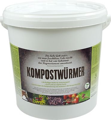 Kompostwürmer - 1000 unid./cubo-compost-Starter lombrices-Eisenia compost