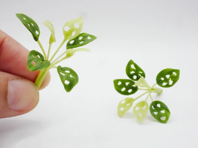 1 pc Miniature Monstera obliqua Plant (SS) Clay Dollhouse Handmade 1:12 Scale