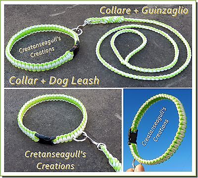 Collare + guinzaglio per cani (Collar + Dog leash)