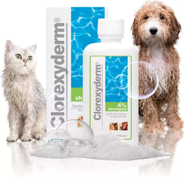 Clorexyderm Dog Shampoo For Itchy Skin Relief Pets With Sensitive Skin 200 ml