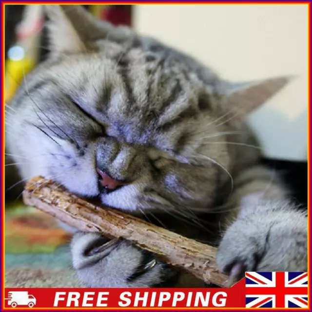15/20pcs Natural Fruit Matatabi Cat Snacks Sticks Catnip Pet Cat Molar Rod