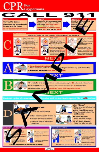 Layrescuer CPR Reference Posters - New 2015 Guidelines!