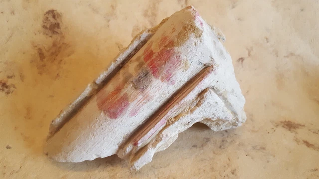 Moldura de Yeso FRAGMENTO POLICROMADO Etnográfico siglo X Museo Decoración Raro