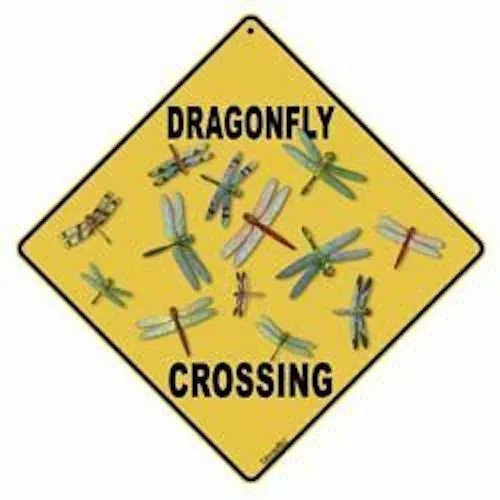 Wall Sign: Dragonfly Crossing (Crosswalks) 12 x 12 Aluminum Metal