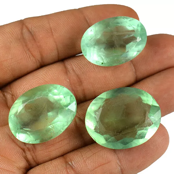 155 CT / 3 Pièces en Gros Lot Vert Naturel Fluorine Coupe Ovale Forme Libre