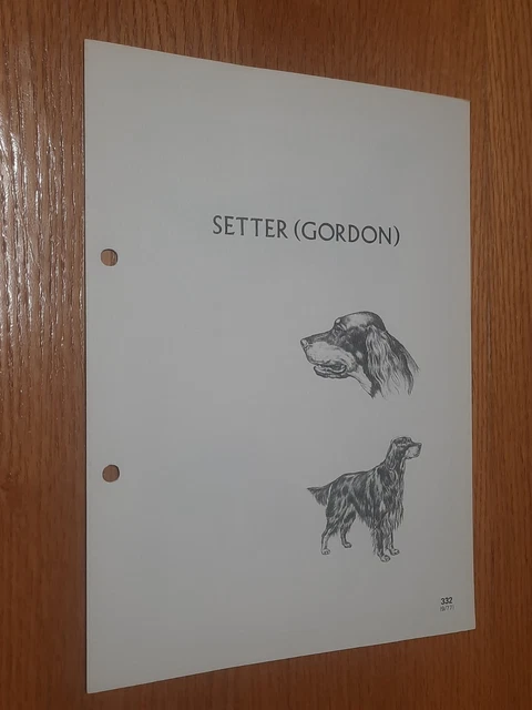 Setter Gordon Breed Supplement RAS Kennel Control Gundogs Group 3