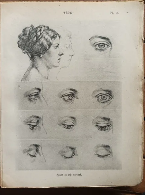 1920 Nouvelle Anatomie Artistique P. Richer Morphologie De La Femme Médecine Art