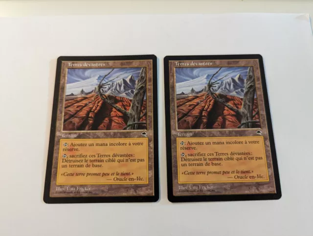 Terres Dévastées Lot De 2 Cartes Magic Édition Tempest Mtg