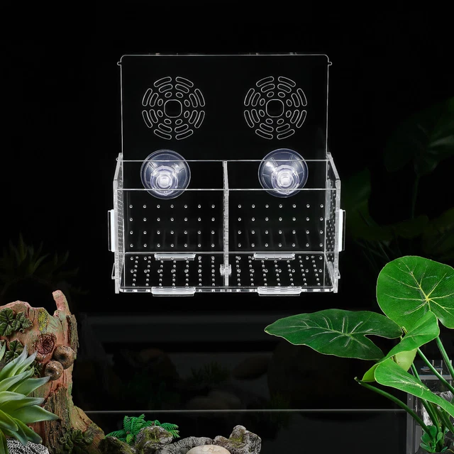 100 Miniature Pesci Rossi Lucidi In Resina - Decorazioni Per Terrario, Giardino Fatato