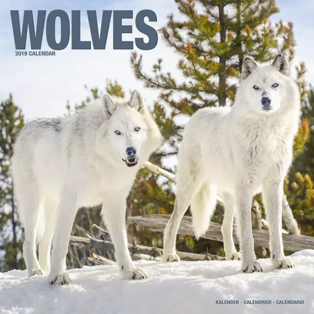 Calendrier 2019 - LOUPS