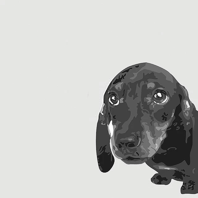 DACHSHUND SMOOTH GERMAN Sausage Dog Poster Style Fine Art Print Daxi