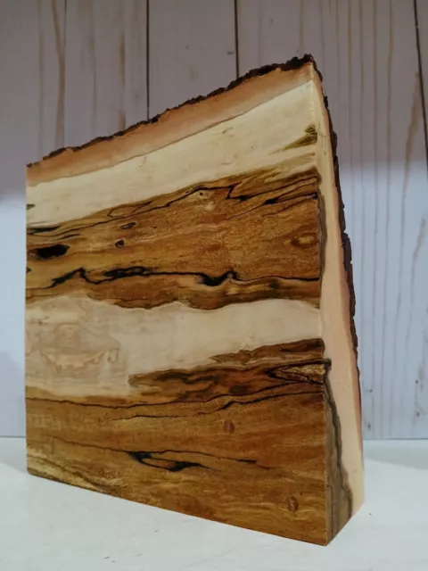 AMBROSÍA RIZADA Malvada MADERA DE ARCE, MADERA ESTABILIZADORA, MADERA EPOXI