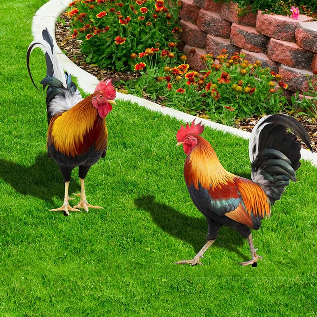 Acrylic Rooster Shape Garden Statue Chicken Sculpture Yard Courtyard Decoration