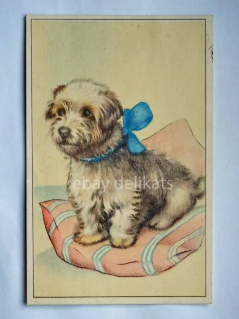 CANE DOG HUND old postcard vecchia cartolina AK