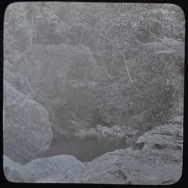 Scarce 1880/90s Glass Stereoview Photo India Kodaikanal At Crossing Dunsterville