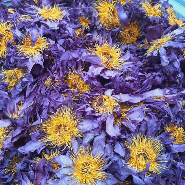 BLUE LOTUS DRIED Flower Nymphaea Caerulea 100 Natural Organic Herbal