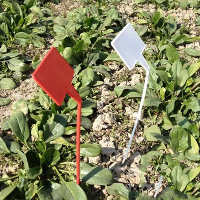 50/100 pz Bianco di Plastica PVC Pianta T-tipo Etichette Marcatori Vivaio Giardino Etichette Vassoio Piantina Vasi Decorazione 6x10 cm