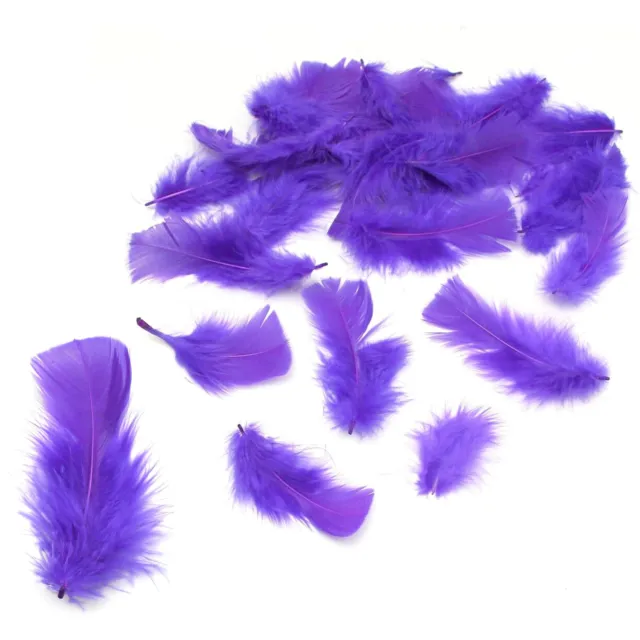 2 Pack Purple Feathers Easter Decorative Kids Arts & Craft Bonnet Decorations