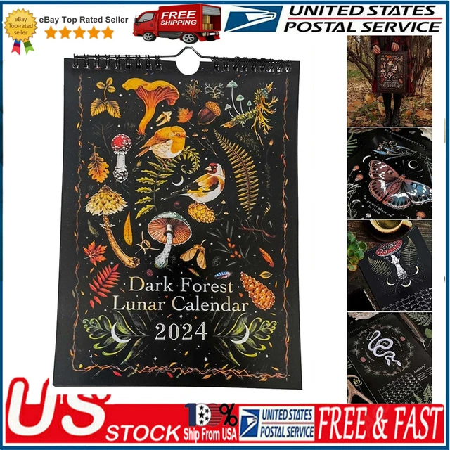 DARK FOREST LUNAR Calendar 2024 Colorful Moon Wheel Wall Calendar with