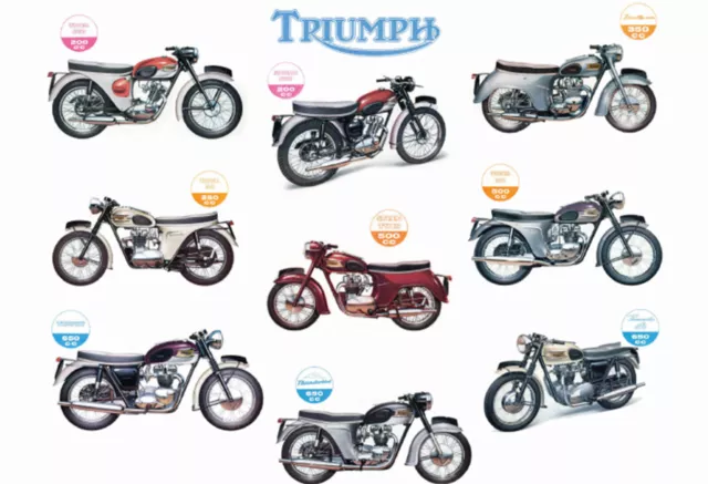 Blechschild mit Kordel, 20x30 cm, Motorrad, Triumph-Modelle, England, wie neu *2