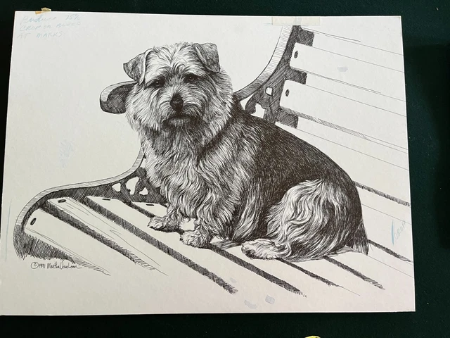 Norfolk Terrier Original Pen and Ink By Van Loan on Board