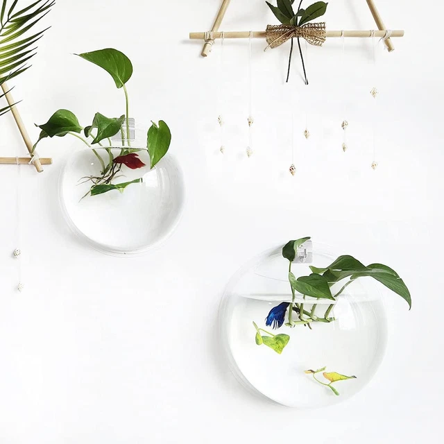 Betta Fish Tank Bowl Wall Mounted  Small Aquarium Hanging for Plant Fish (NEW) 7