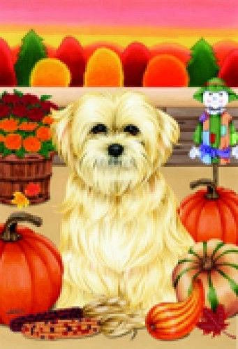 Autumn (TP) House Flag - Lhasa Apso 67040