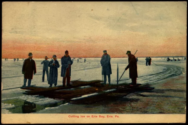 Postcard PA Erie Pennsylvania Cutting Ice on Erie Bay 1908 B16