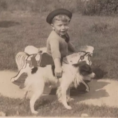 3P Photograph Portrait Boy Wooden Rocking Horse Toy Small Pet Dog 1930's