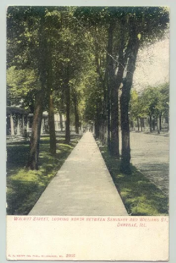 Danville, Illinois IL ~ Walnut Street / Seminary & Williams Street  1910 ^