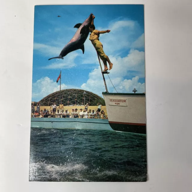 MIAMI, FL-FLORIDA, DOLPHIN @ Seaquarium, Vintage Postcard $7.99 - PicClick