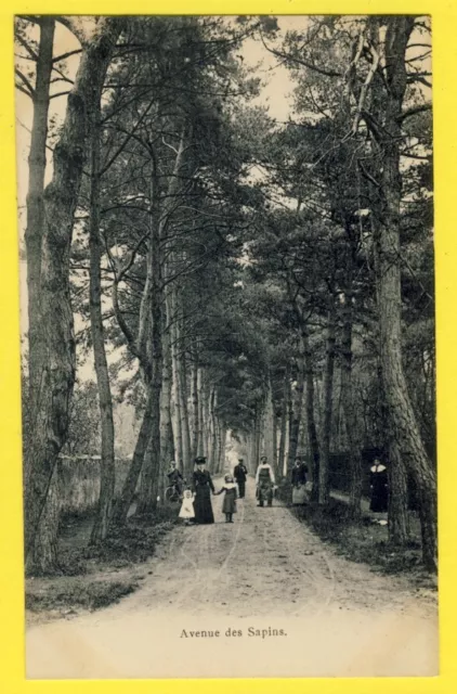 CPA France 95 - BEAUCHAMP vers 1900 (Val d'Oise) Avenue des SAPINS Animés