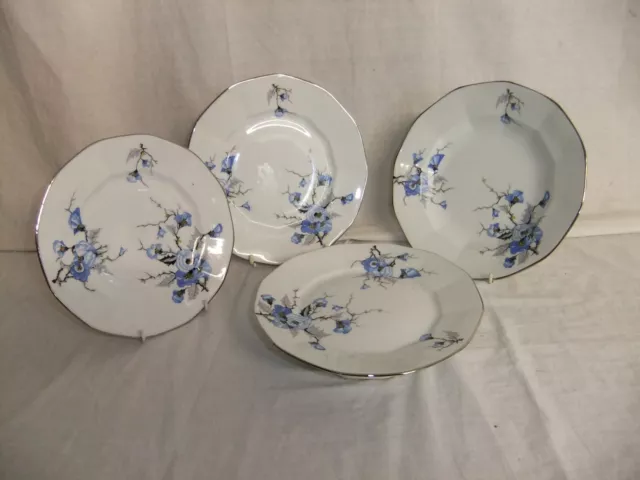 c4 Porzellan Limoges U.C.Frankreich blaue Blüte & silberner Rand Vintage Art Deco? 3F5A