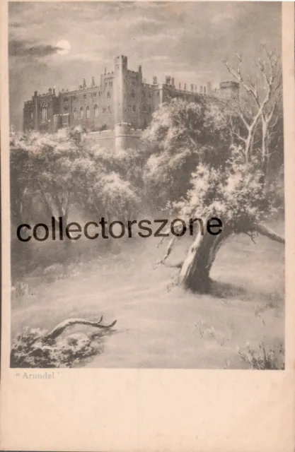 Arundel Castle Sussex Printed postcard unposted