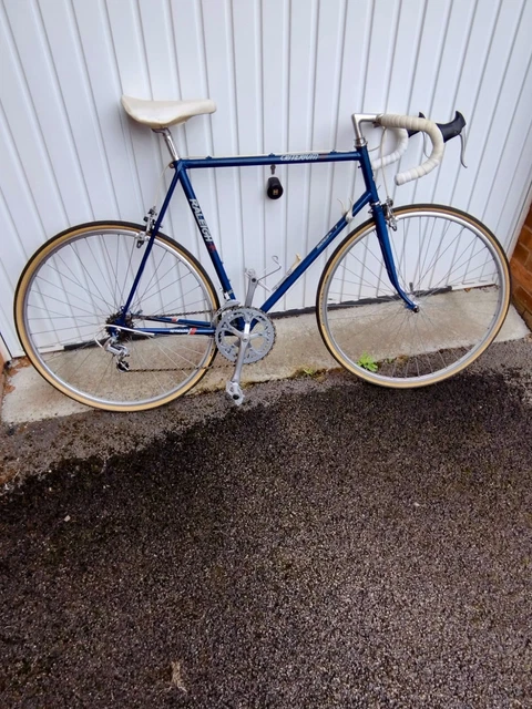Raleigh avenir road bike sale