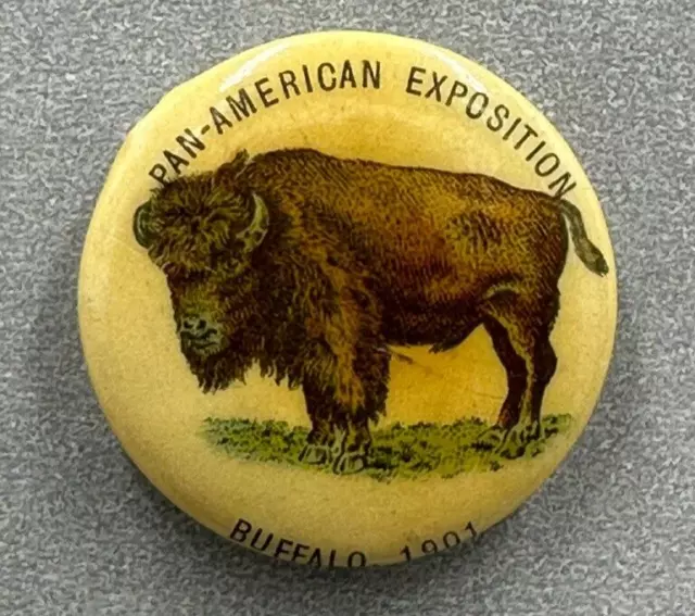 1901 PIN de celuloide publicidad de la Feria Mundial de Buffalo Exposición Panamericana Feria Mundial